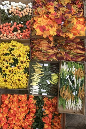 12x autumn bushes joblot - 12x,