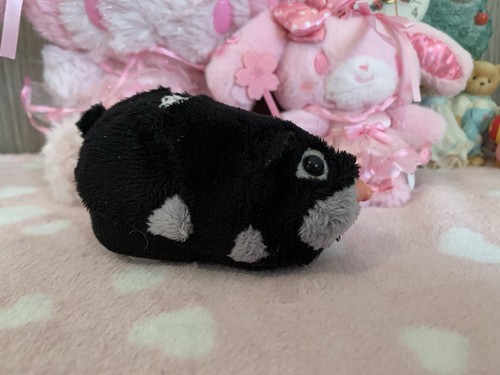 Zhu pets dezel - dezel, black