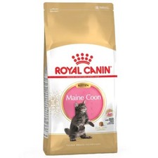 ROYAL CANIN® Maine Coon