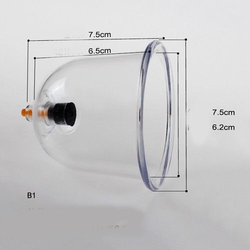 100 single use plastic - x,