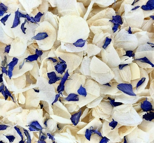 Biodegradable confetti ivory - confetti,