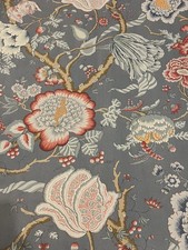 Manuel Canovas Brahmane