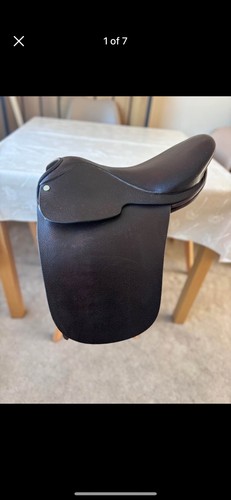 English leather pony - english,