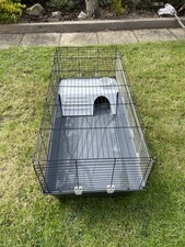 Winter Guinea Pig Hutch, when