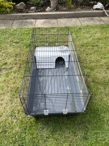 Winter guinea pig hutch when - pig, hutch,