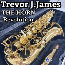 Trevor J.James James Alto Saxophone The Horn Revolution With Case Home Practice
