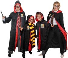 WIZARD SCHOOLBOY COSTUME ADULT