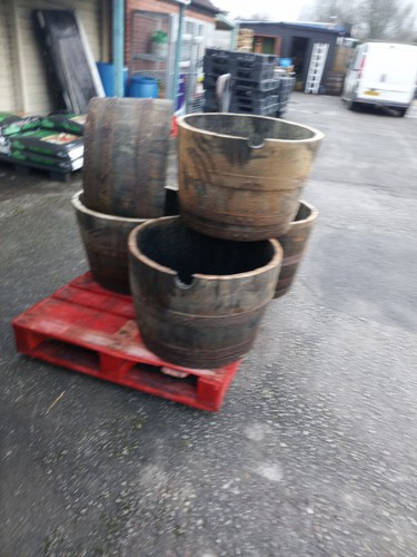 Large oak half - half, whisky