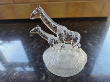 Royal Crystal Rock (RCR)