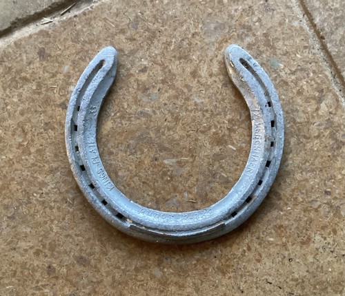 Real aluminium horse - ,