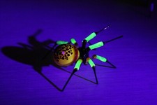 Red Uranium Glass Spider