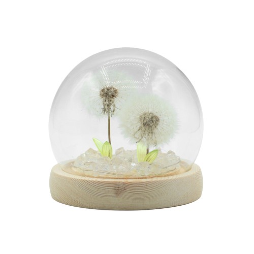 Floral glow garden dome - dome,