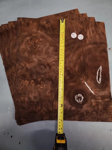 American walnut burr veneer - burr,