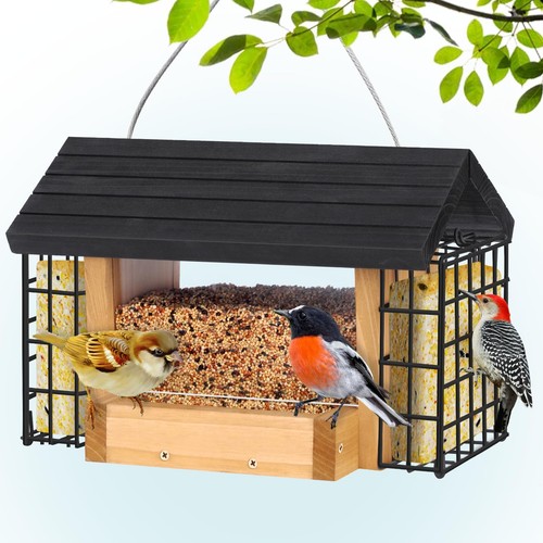 Hopper bird feeder - hopper,