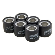 Variator Rollers POLINI 19X17