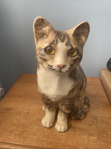 Winstanley sitting tabby cat - winstanley,