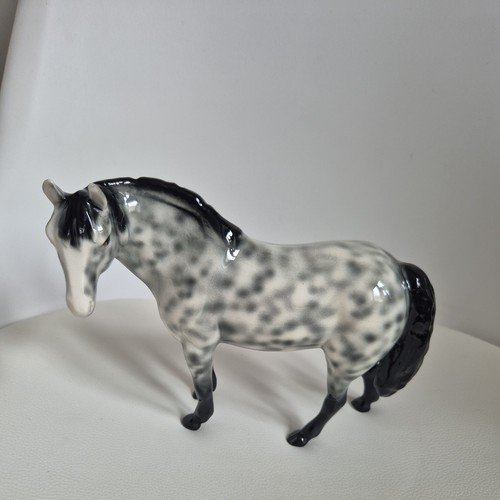 Dapple grey horse - horse, bone