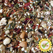 Hammykins Syrian Seed Mix (250g) Premium Hamster Food Nutritionally Balanced