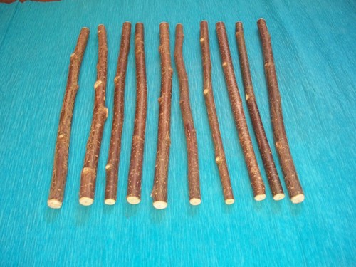 Hazel wood craft - x,