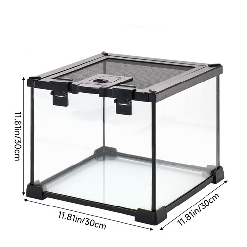 Glass reptile terrarium - glass,