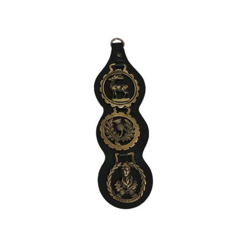 Vintage scottish horse brasses - scottish,