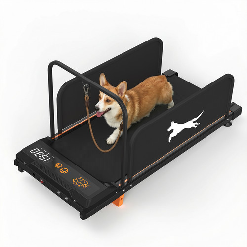 Quiet dog treadmill for - quiet,