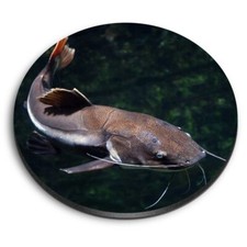 Round MDF Magnets - Redtail Catfish Fish Fishing Pond Lake #24100