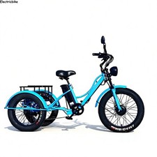 24" Electric Trike 48V 18Ah