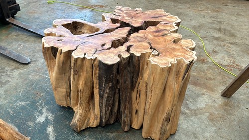 Tree stump dining - stump,