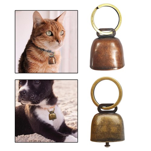 Dog cat collar - dog,