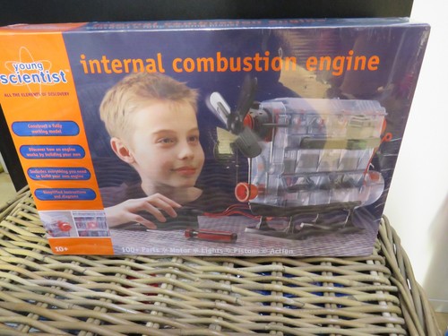 Young scientist internal - young,