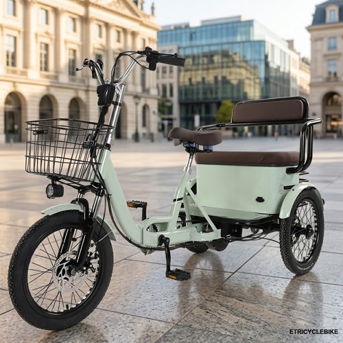 Electric cargo tricycle - electric,