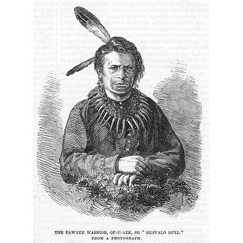 Native american indians pawnee - native,