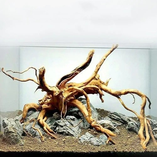 Natural aquarium driftwood - natural,