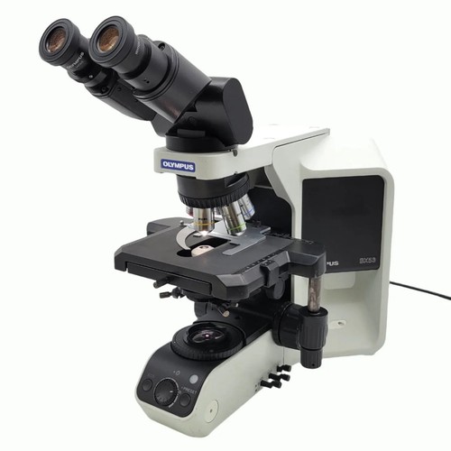 Olympus microscope bx53 with - microscope,