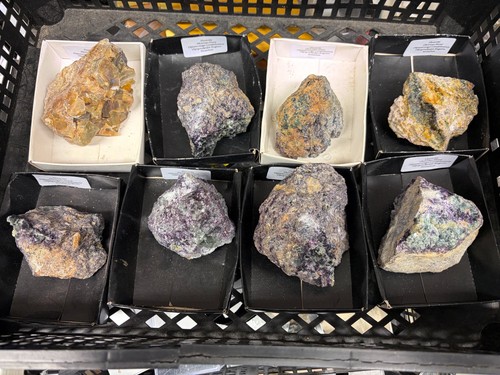 Collection large display - large,