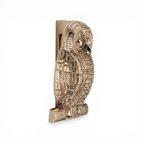 Solid brass owl - owl, knocker