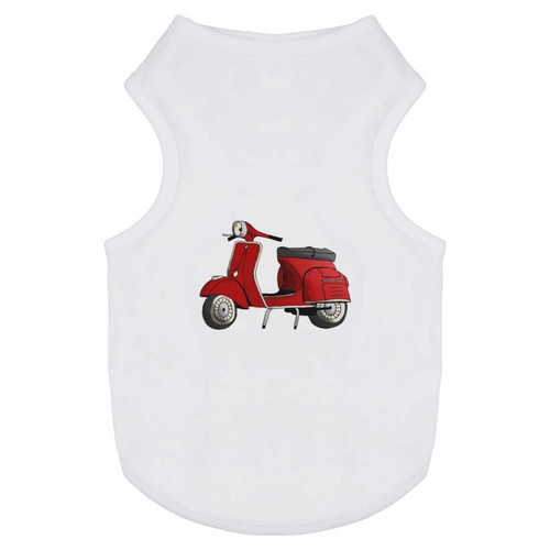 Red scooter pet - pet, cat
