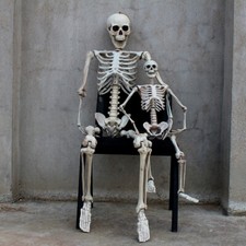 165cm Halloween New Poseable Human Skeleton Full Life Size Party Decoration