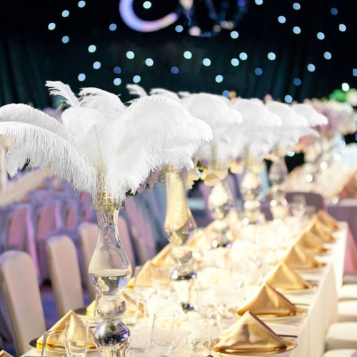 10x 30cm large ostrich - 10x,
