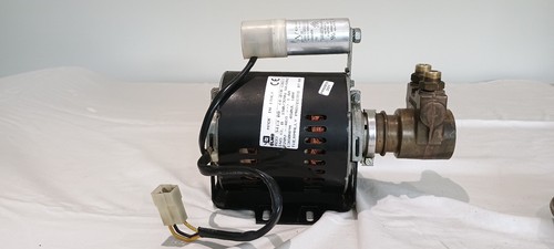 Water pump motor assembly - pump/motor, for