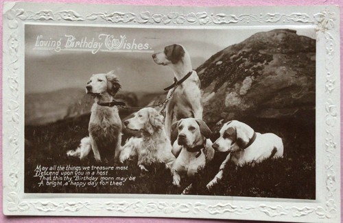 Vintage dog postcard - dog, english