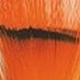 Veniard golden pheasant - veniard,