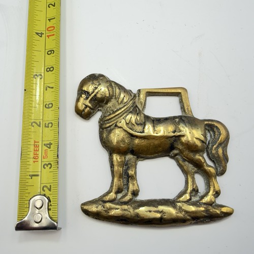 Shire horse with harness - shire,