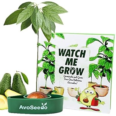Avoseedo bowl grow - grow, own