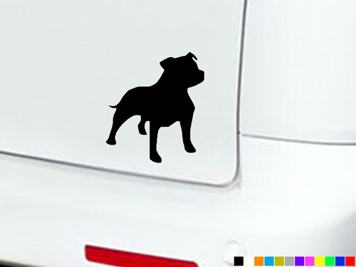 Staffordshire bull terrier - staffordshire,