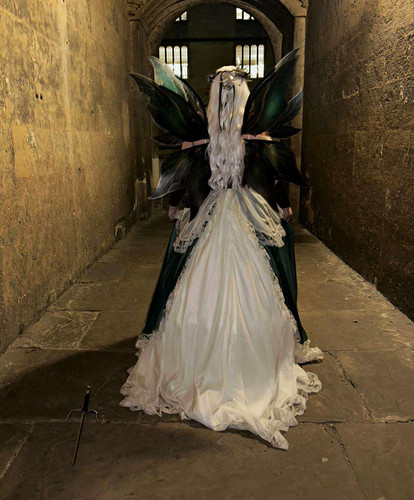 Fairy costume wings multi - costume,