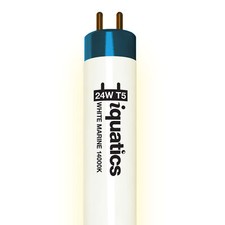 iQuatics Aquarium Fish Tank