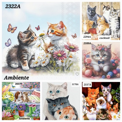 Cats mixed table - 6, x