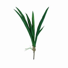 Artificial Cymbidium Leaves Bush 58cm